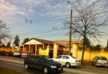 Picture 029