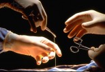 Surgeon's Hands Operating