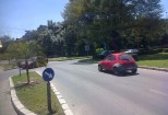 palmieri